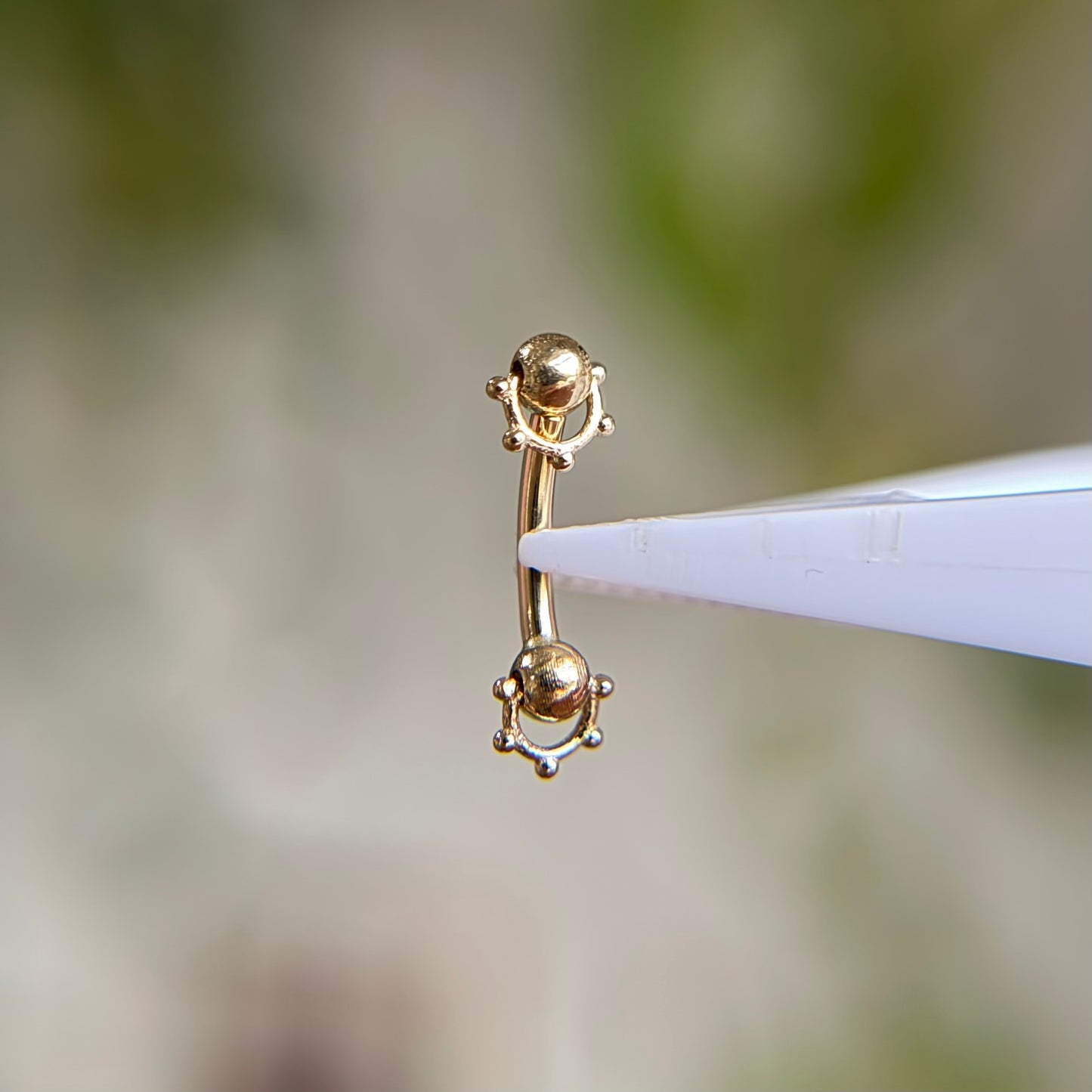 Rookie Curve - Spaced - Curved Barbell