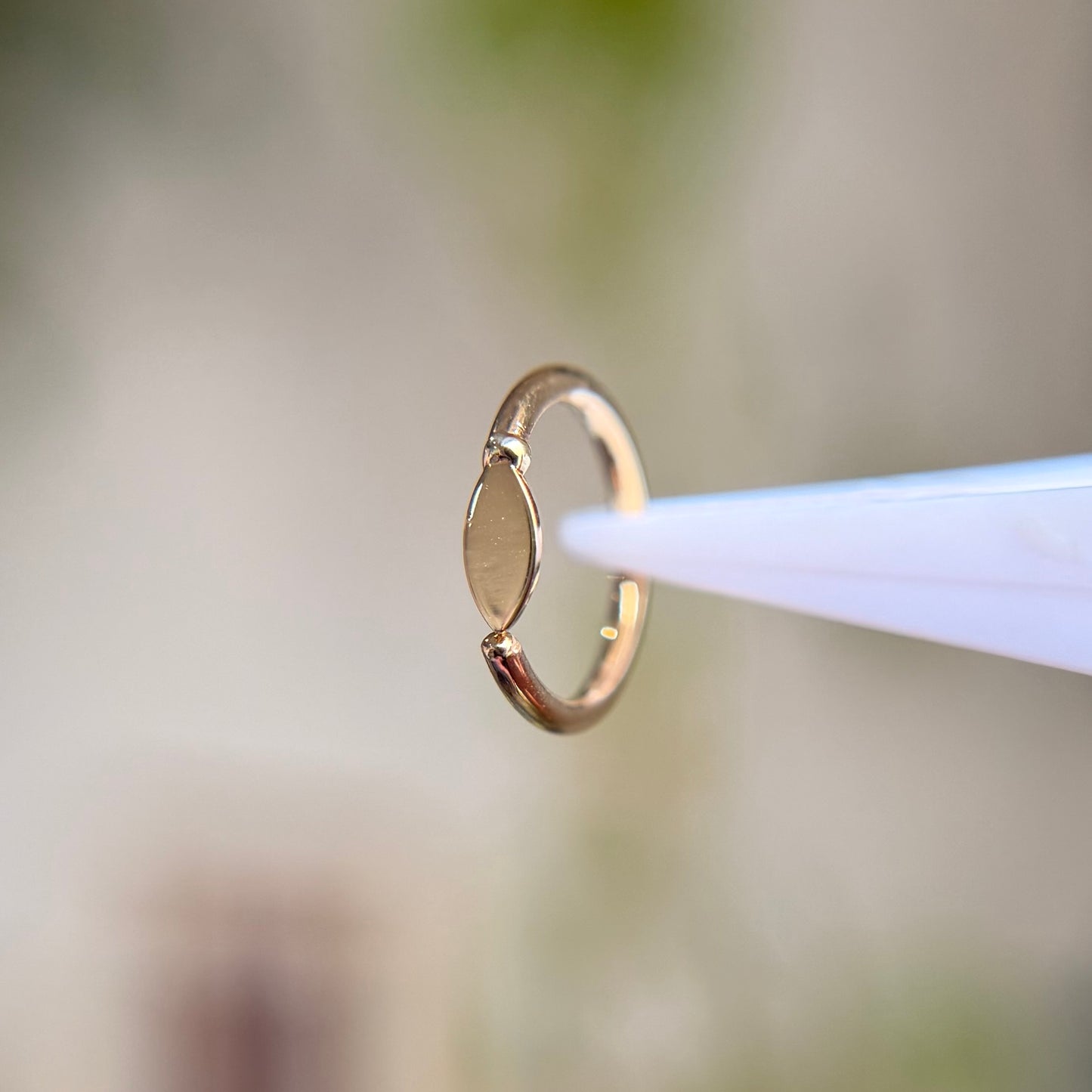 Seed - High Polished - Fixed Ring