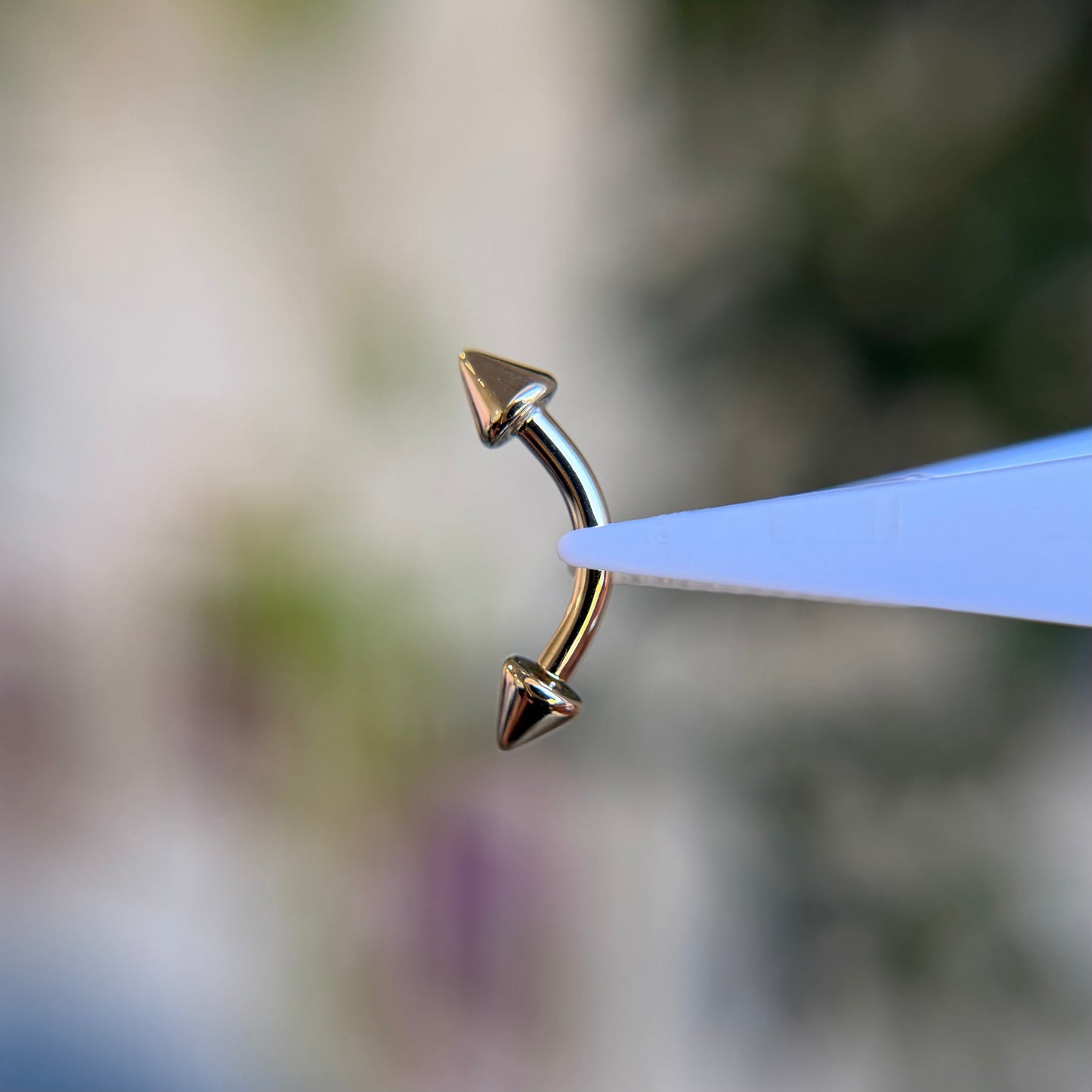 Curved Barbell - Spiked