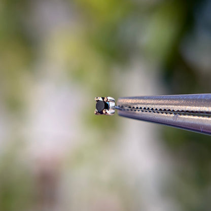 Black Diamond Prong - Threadless Ends