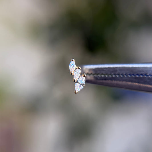 Multiplicity - Threadless End