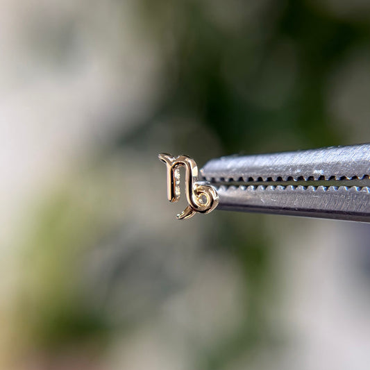 Capricorn Zodiac Sign - Threadless End