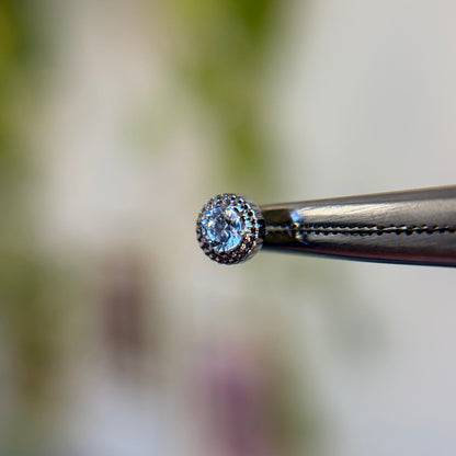 Rosebud Pin - Titanium - Threadless End