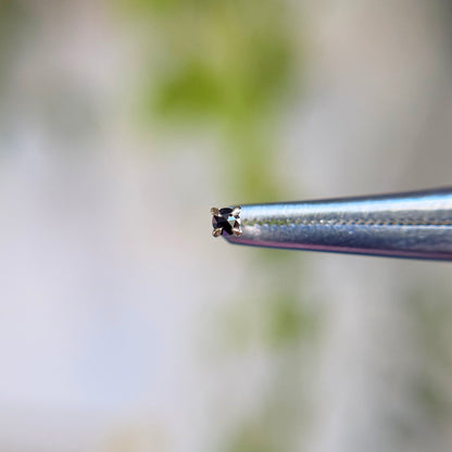 2mm Rose Cut 4 Prong - Black Diamond - Threadless End