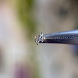 Devine #3 - Natural Diamond - Threadless End