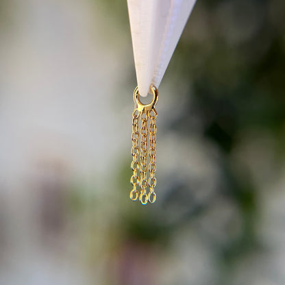 Fringe - Charm