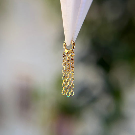 Fringe - Charm