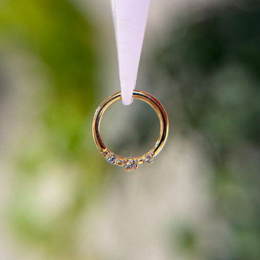 Everythingness - Seam Ring