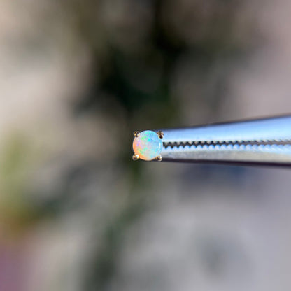 Opal Prong - Threadless End