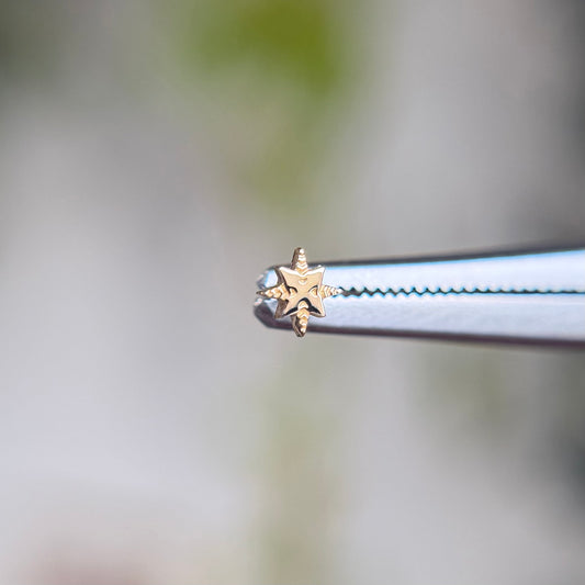 Eleni - Threadless End