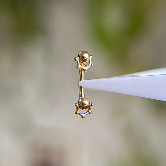 Rookie Curve - Spaced - Curved Barbell