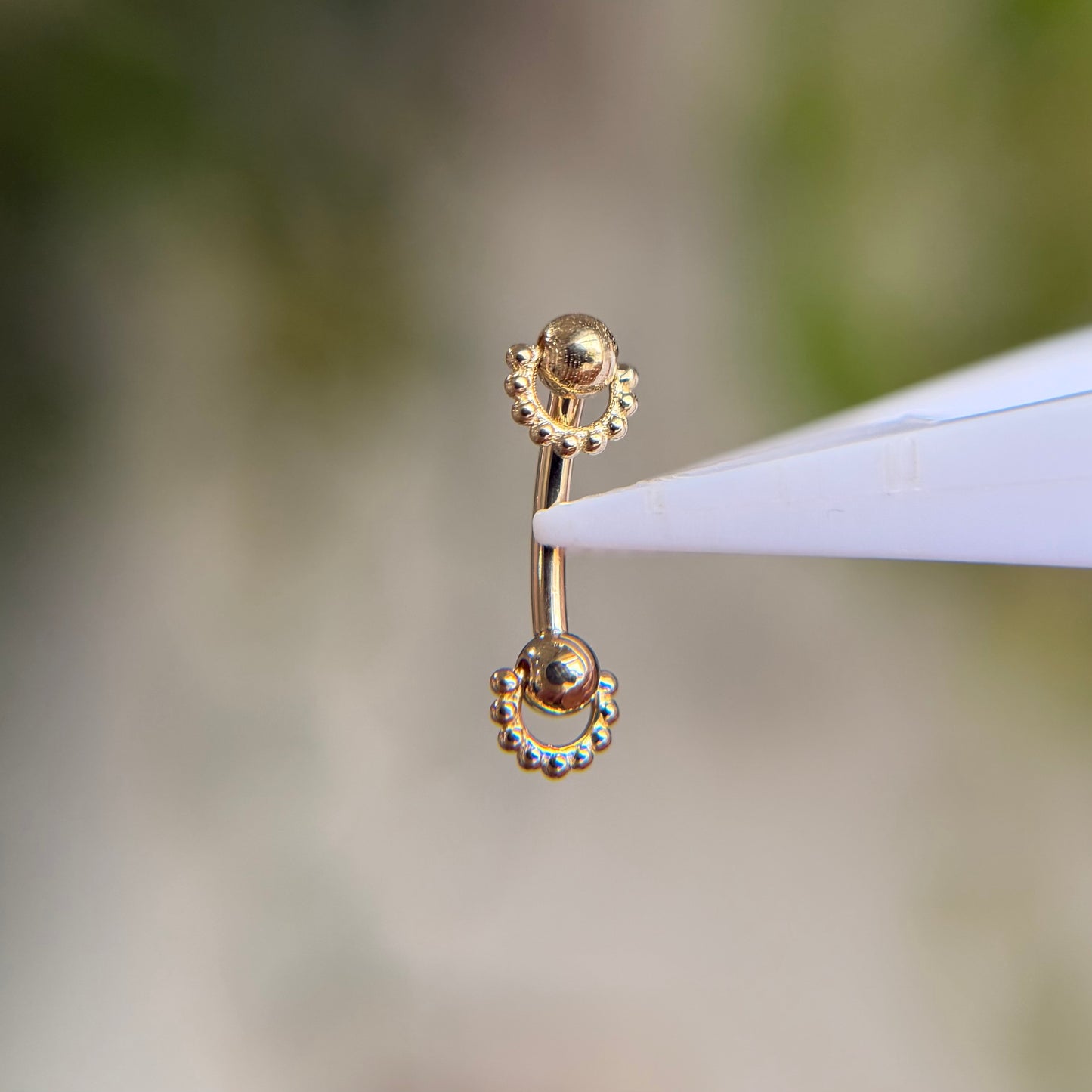 Rookie Curve - Packed - Curved Barbell