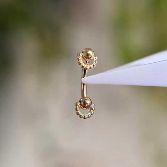 Rookie Curve - Packed - Curved Barbell