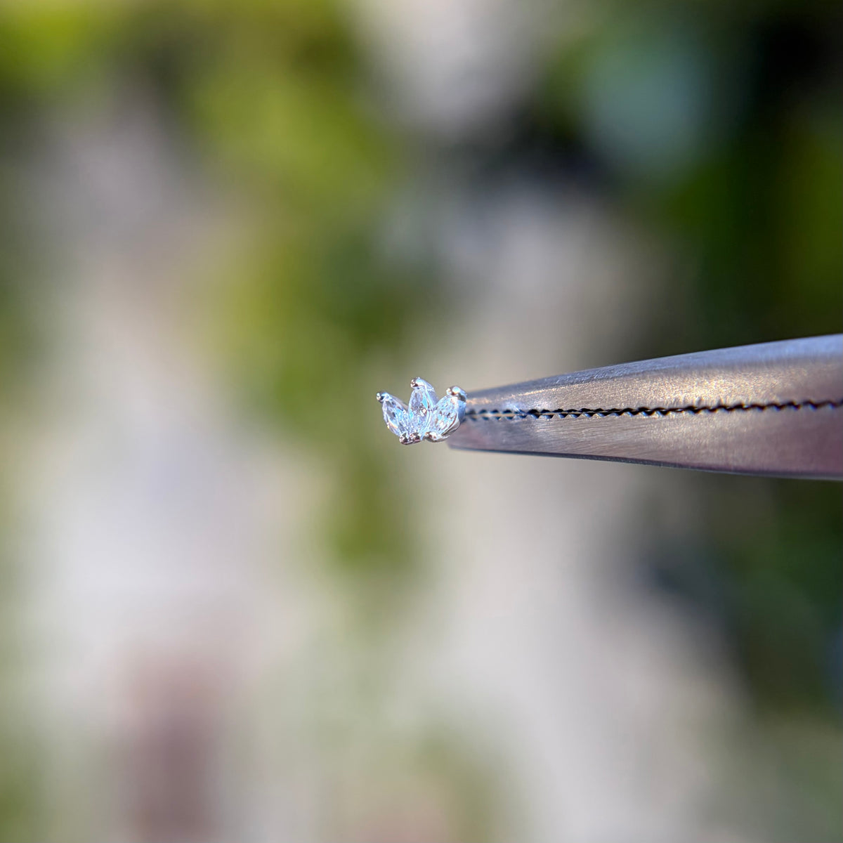 Petite Moet - Threadless End