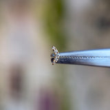 Devine #4 - Natural Diamond - Threadless End