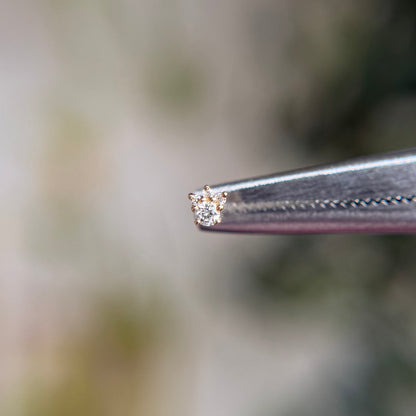 Leia Mini - All Diamond - Threadless End