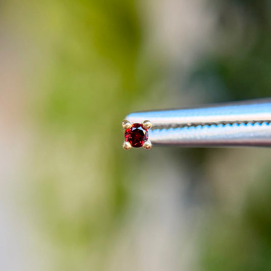 Garnet Prong - Threadless End