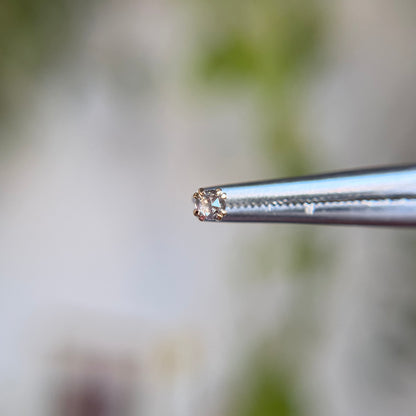 Kai - 2.5mm Rose Cut Grey Diamond - Threadless End