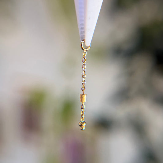 Pupil Hall Give 100 - #3