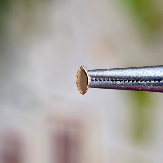 Seed - High Polished - Threadless End