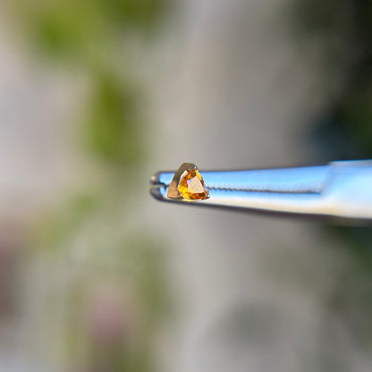 Lennox - Citrine - Threadless End