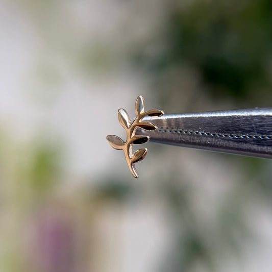 Paradise - Threadless End