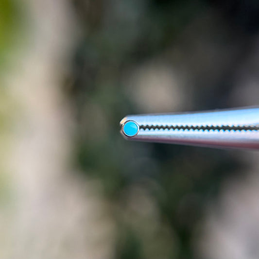 Turquoise Titanium Bezel Set Cabochon - Threadless End