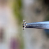 Devine #5 - Natural Diamond - Threadless End