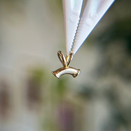 Pupil Hall Give 100 - #5