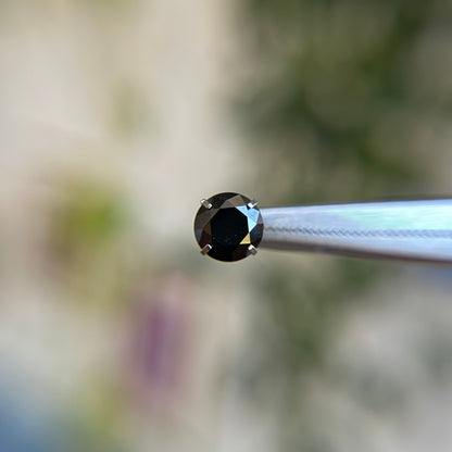 Titanium Prong Set Cubic Zirconia - Black - Threadless End