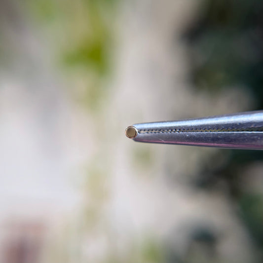 Gold Disk - Threadless End