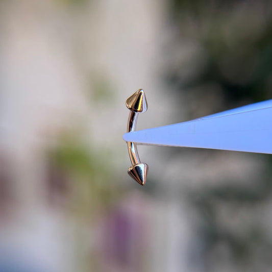 Curved Barbell - Spiked