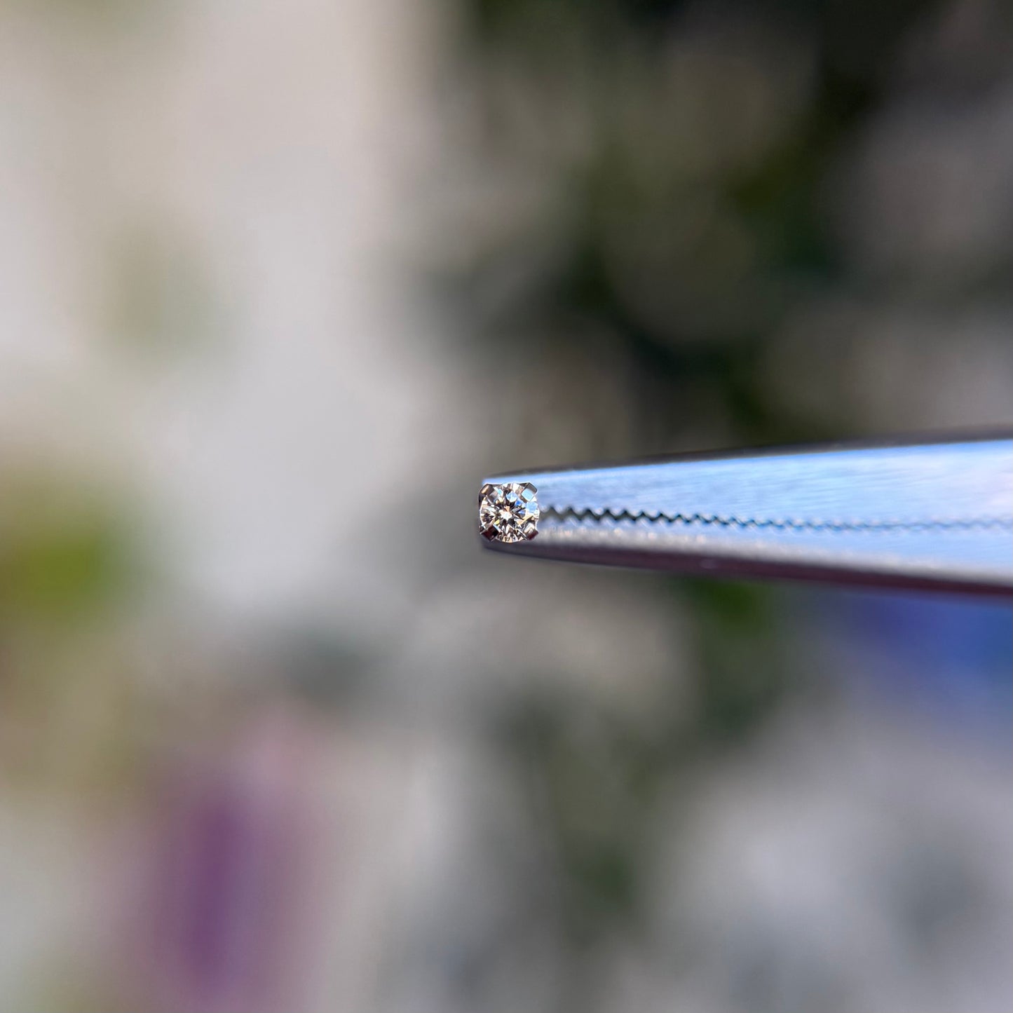 Titanium Prong Set Cubic Zirconia - Champagne - Threadless End