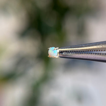 Opal Prong - Threadless End