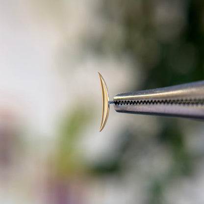 Parenthesis - Threadless End