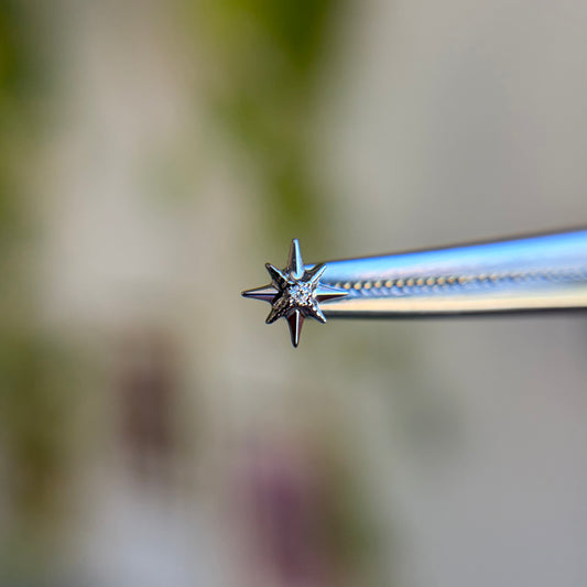 Shine Pin - Titanium - Threadless End