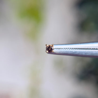 Smoky Quartz Prong - Threadless End