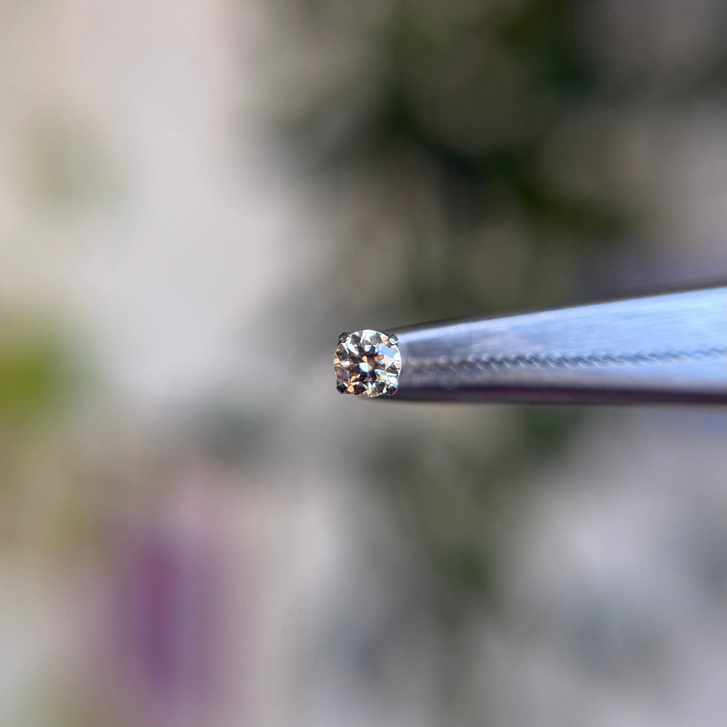 Titanium Prong Set Cubic Zirconia - Champagne - Threadless End