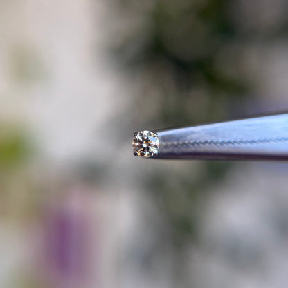 Titanium Prong Set Cubic Zirconia - Champagne - Threadless End