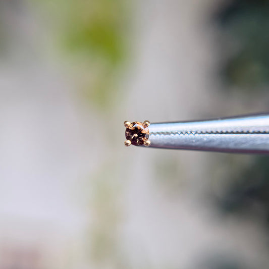 Smoky Quartz Prong - Threadless End