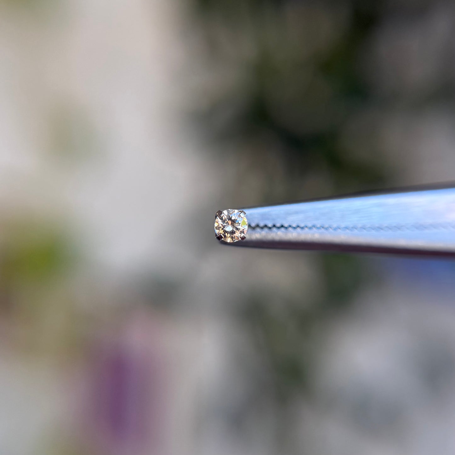 Titanium Prong Set Cubic Zirconia - Champagne - Threadless End