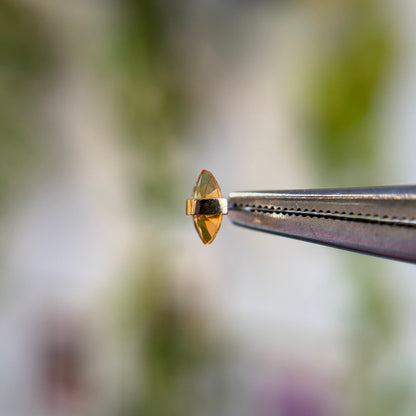 Crystalized - Citrine - Threadless End