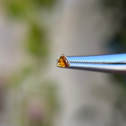 Lennox - Citrine - Threadless End
