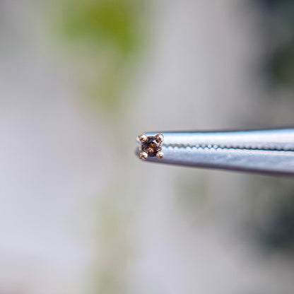 Smoky Quartz Prong - Threadless End