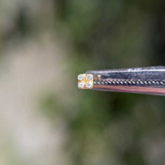 Primary Squrrr! - Diamond - Threadless End