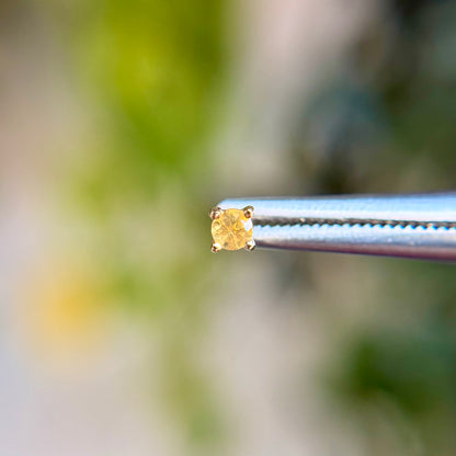 Citrine Prong - Threadless End