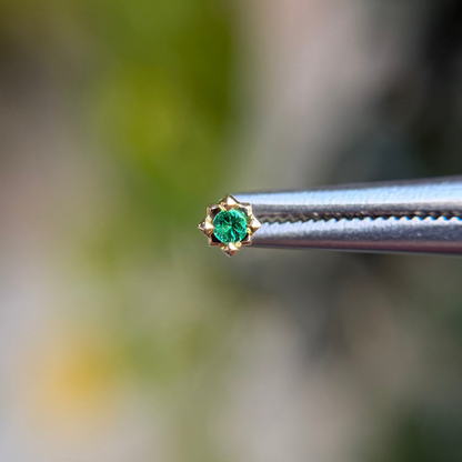 Stella - Emerald - Threadless End