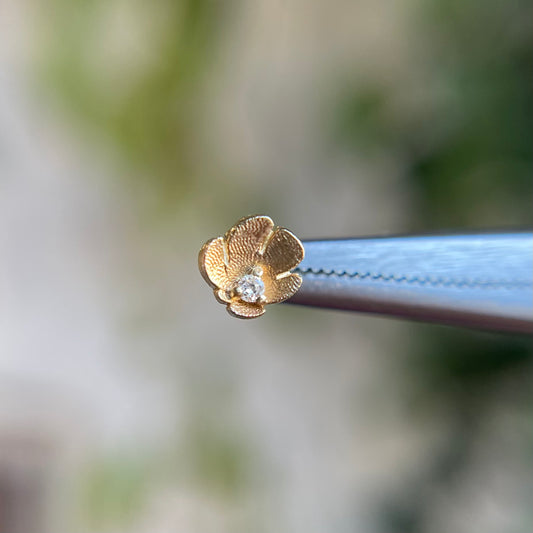 Dandy - Threadless End